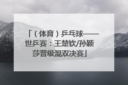 （体育）乒乓球——世乒赛：王楚钦/孙颖莎晋级混双决赛
