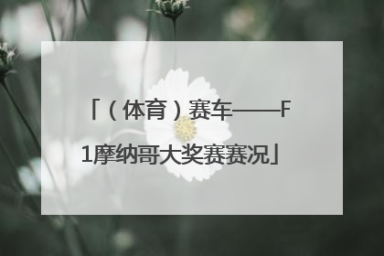 （体育）赛车——F1摩纳哥大奖赛赛况
