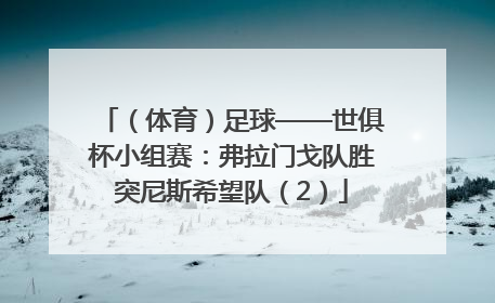（体育）足球——世俱杯小组赛：弗拉门戈队胜突尼斯希望队（2）