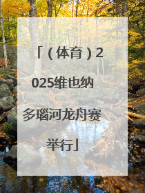 （体育）2025维也纳多瑙河龙舟赛举行