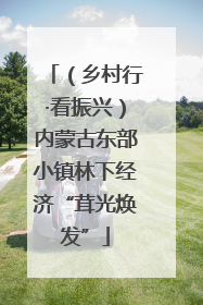 （乡村行·看振兴）内蒙古东部小镇林下经济“茸光焕发”