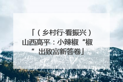 （乡村行·看振兴）山西高平：小辣椒“椒”出致富新答卷