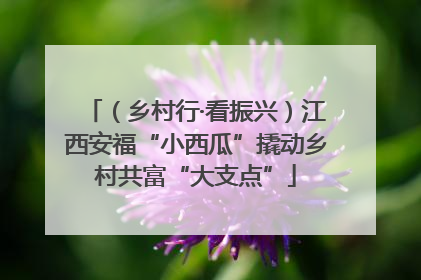 （乡村行·看振兴）江西安福“小西瓜”撬动乡村共富“大支点”