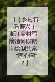 （乡村行·看振兴）浙江乡村弓箭馆何以靶向绘制共富“同心圆”？