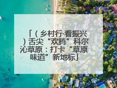 （乡村行·看振兴）舌尖“欢腾”科尔沁草原：打卡“草原味道”新地标