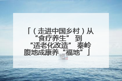 （走进中国乡村）从 “食疗养生” 到 “适老化改造” 秦岭腹地成康养“福地”