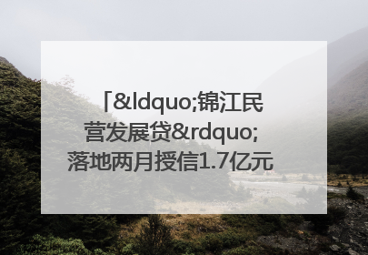 “锦江民营发展贷”落地两月授信1.7亿元，惠及118家民企