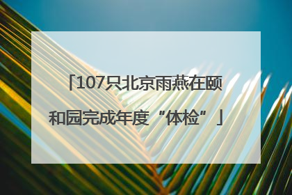 107只北京雨燕在颐和园完成年度“体检”