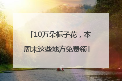 10万朵栀子花，本周末这些地方免费领