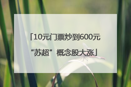10元门票炒到600元 “苏超”概念股大涨