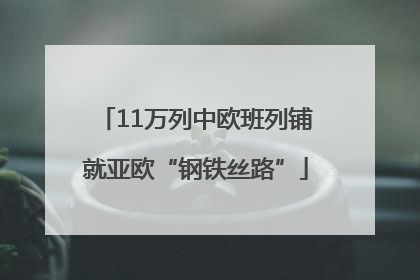 11万列中欧班列铺就亚欧“钢铁丝路”