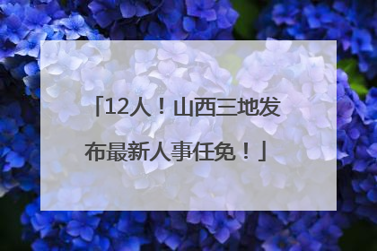 12人！山西三地发布最新人事任免！