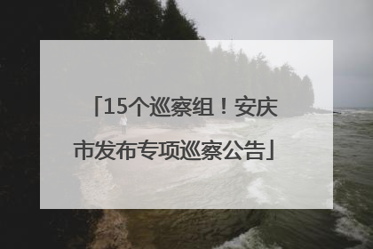 15个巡察组！安庆市发布专项巡察公告