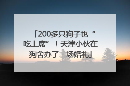 200多只狗子也“吃上席”！天津小伙在狗舍办了一场婚礼