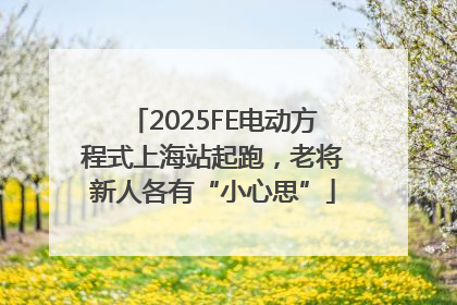 2025FE电动方程式上海站起跑，老将新人各有“小心思”