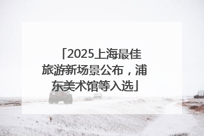 2025上海最佳旅游新场景公布，浦东美术馆等入选