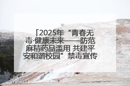 2025年“青春无毒·健康未来——防范麻精药品滥用 共建平安和谐校园”禁毒宣传专题活动在咸宁举行