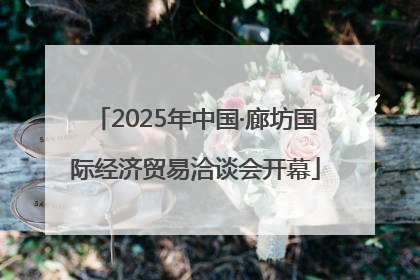 2025年中国·廊坊国际经济贸易洽谈会开幕