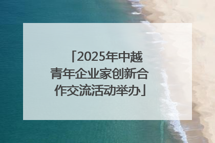 2025年中越青年企业家创新合作交流活动举办
