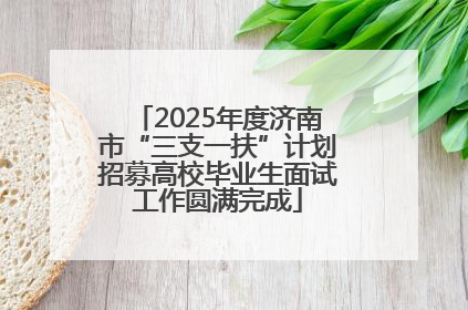 2025年度济南市“三支一扶”计划招募高校毕业生面试工作圆满完成