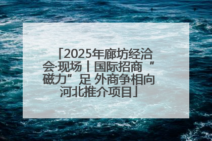 2025年廊坊经洽会·现场丨国际招商“磁力”足 外商争相向河北推介项目