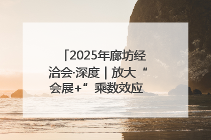 2025年廊坊经洽会·深度｜放大“会展+”乘数效应 打造消费新场景