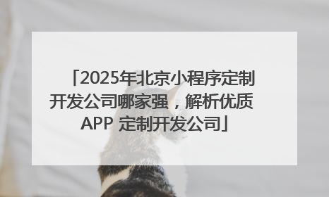2025年北京小程序定制开发公司哪家强，解析优质 APP 定制开发公司