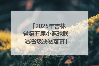 2025年吉林省第五届小篮球联赛省级决赛落幕