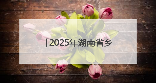 2025年湖南省乡村文化旅游节联动地暨金洞村k友谊赛启幕