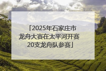 2025年石家庄市龙舟大赛在太平河开赛 20支龙舟队参赛