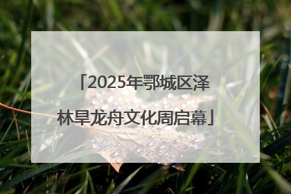 2025年鄂城区泽林旱龙舟文化周启幕