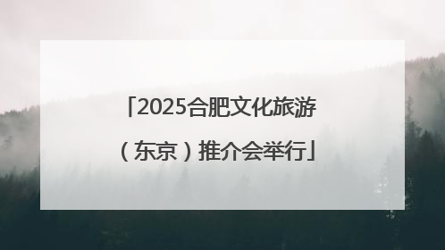 2025合肥文化旅游（东京）推介会举行