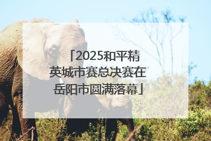 2025和平精英城市赛总决赛在岳阳市圆满落幕