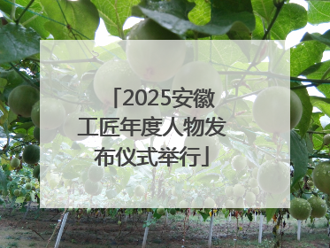 2025安徽工匠年度人物发布仪式举行