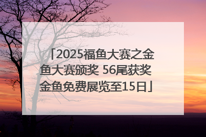 2025福鱼大赛之金鱼大赛颁奖 56尾获奖金鱼免费展览至15日
