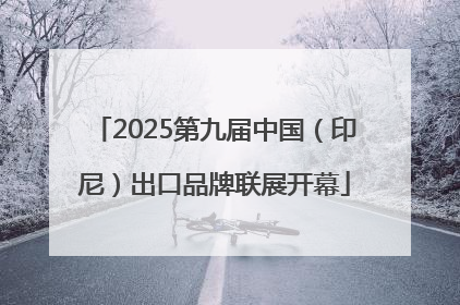2025第九届中国（印尼）出口品牌联展开幕