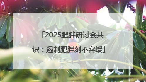 2025肥胖研讨会共识：遏制肥胖刻不容缓
