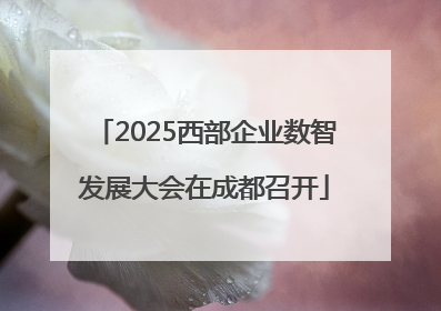 2025西部企业数智发展大会在成都召开