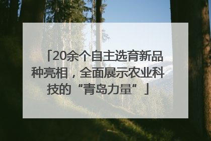 20余个自主选育新品种亮相，全面展示农业科技的“青岛力量”