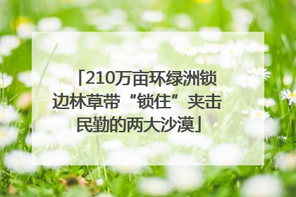 210万亩环绿洲锁边林草带“锁住”夹击民勤的两大沙漠
