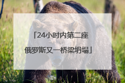 24小时内第二座 俄罗斯又一桥梁坍塌