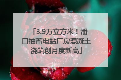 3.9万立方米！潘口抽蓄电站厂房混凝土浇筑创月度新高