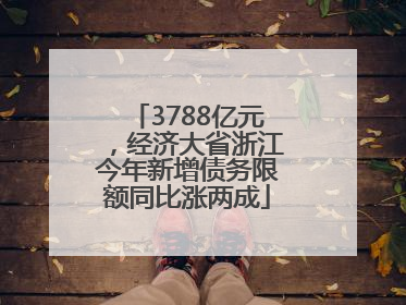 3788亿元，经济大省浙江今年新增债务限额同比涨两成