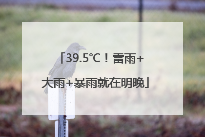 39.5℃！雷雨+大雨+暴雨就在明晚