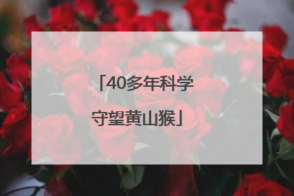 40多年科学守望黄山猴