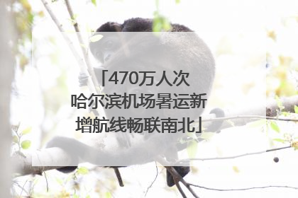 470万人次 哈尔滨机场暑运新增航线畅联南北