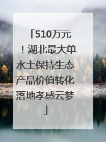 510万元！湖北最大单水土保持生态产品价值转化落地孝感云梦