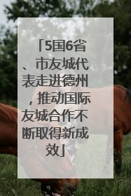 5国6省、市友城代表走进德州，推动国际友城合作不断取得新成效