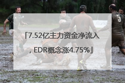 7.52亿主力资金净流入，EDR概念涨4.75%