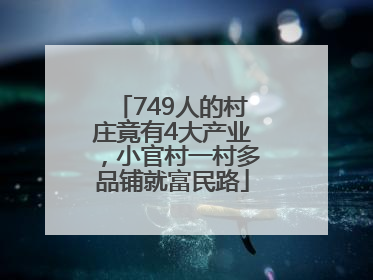 749人的村庄竟有4大产业，小官村一村多品铺就富民路
